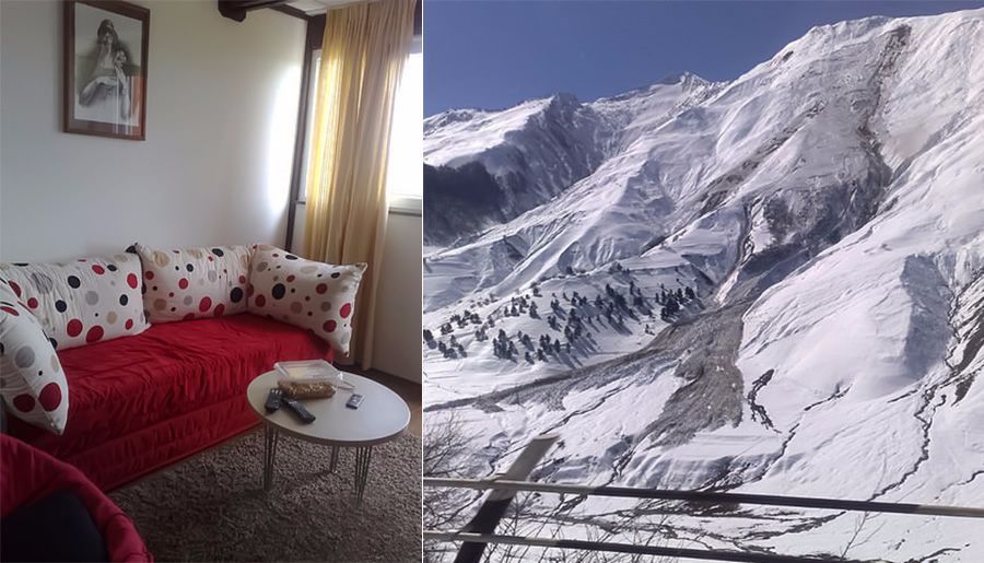 სიდონია_6