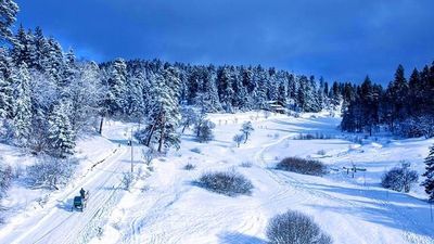 კოტეჯი ბაკურიანი კოხტა_4