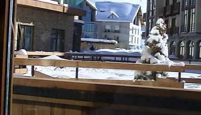 White tiger in new Gudauri II_2