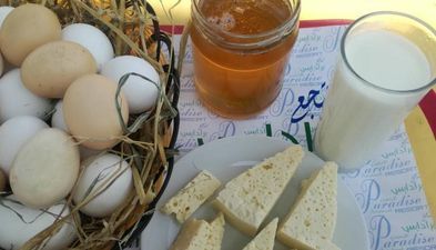 Paradise Investment resort_2