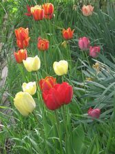 საოჯახო სასტუმრო რადიანის 14_6