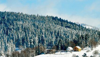 Guest house on Tamar Mepe_2