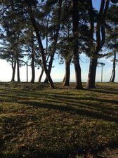 ქობულეთი  რეზიდენტი_5