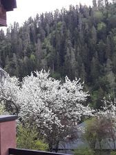 კოტეჯი ლიკანში_3