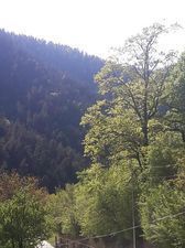 კოტეჯი ლიკანში_6