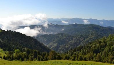 Звиад Гостевой Дом_5