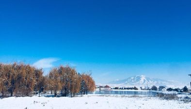 თბილი სახლი_2