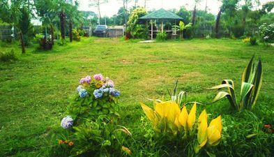 ეკო ლუქსი_4