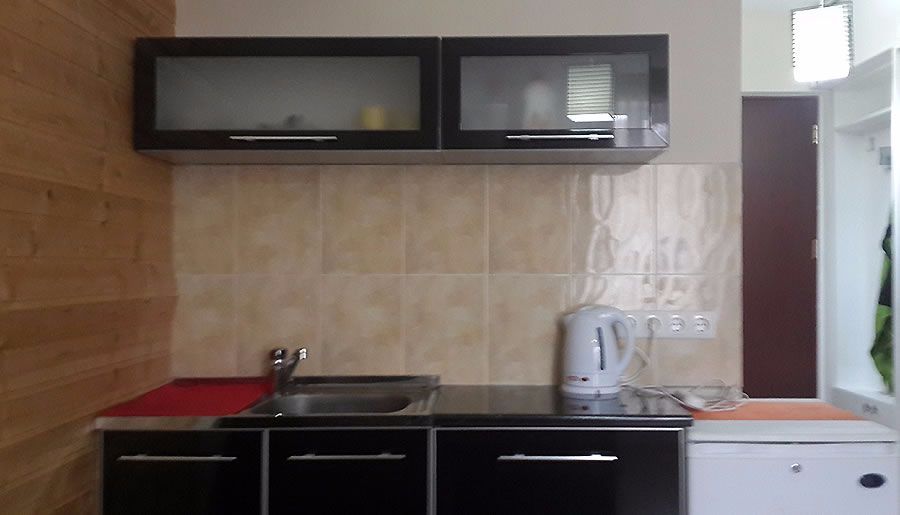 ბინა დემე_3