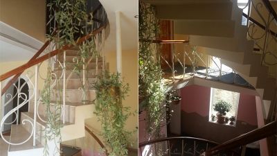 სანდრო პაპა_4