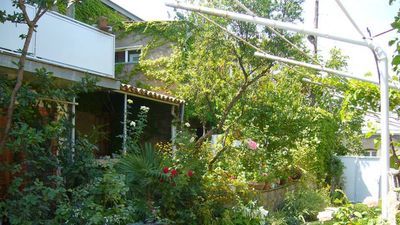 ნელი თელავი_2