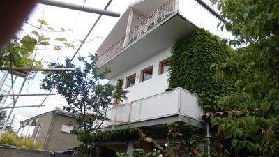 ნელი თელავი_3