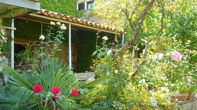 ნელი თელავი_6