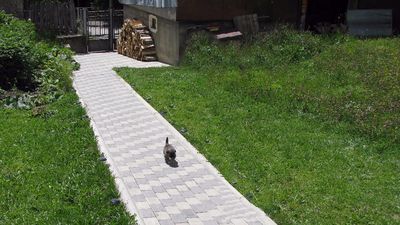 ფადალენდი_4