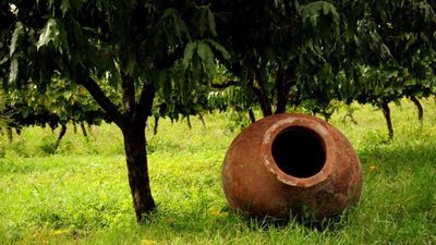Shaloshvili's Cellar Hotel_9