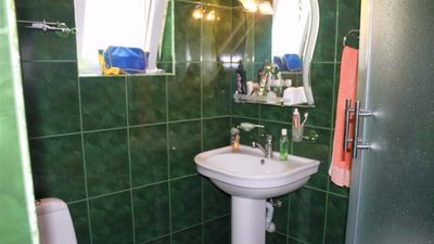 მწვანე ვარდი_2