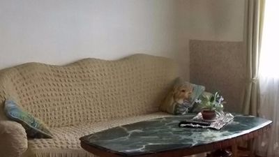 მწვანე ვარდი_3