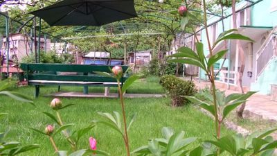 მწვანე ვარდი_6