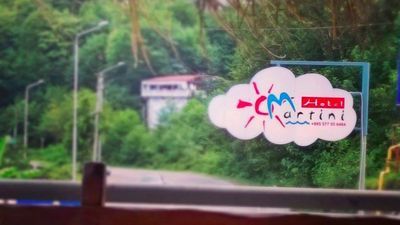 მართინი_2