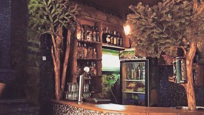 ნიკალა მესტია_3