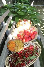 კივის სახლი_3