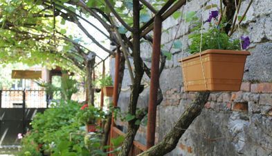 კივის სახლი_9