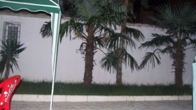 ზელიონი დომ_2