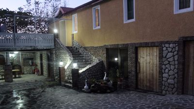 ძნელაძე_4