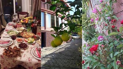 სარფი ინნ_8