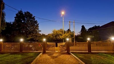 ორენჯი_3