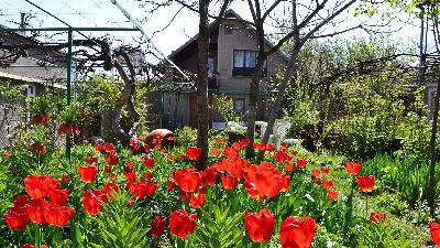 Milorava's Guest House & Wine Cellar