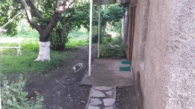 Guesthouse Cottage — Photo 8