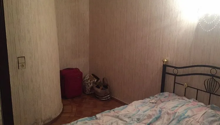 Lion — Photo 18