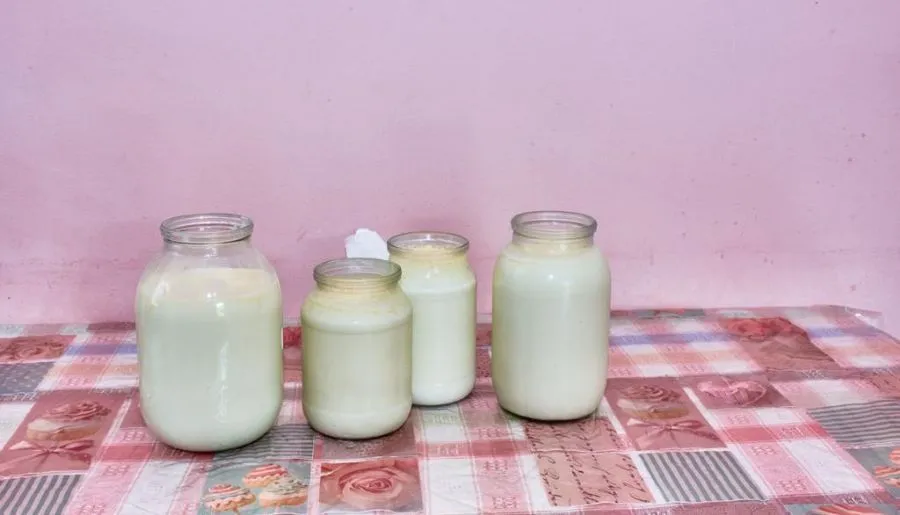 Tirebi Farmhouse — Photo 18
