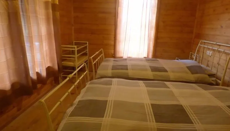 ჰაწვალი — ფოტო 25