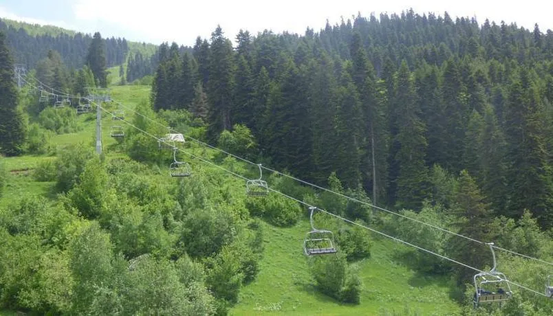 ჰაწვალი — ფოტო 20