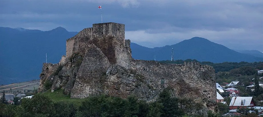 კოტეჯი სურამი — ფოტო 3