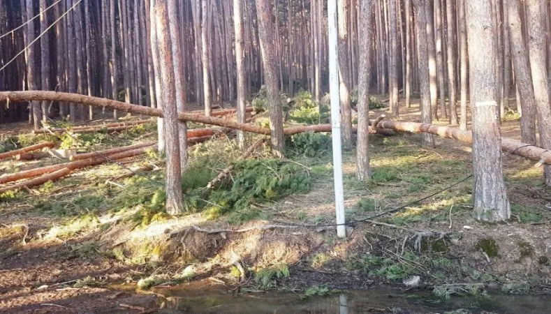 კოტეჯი სურამი — ფოტო 2