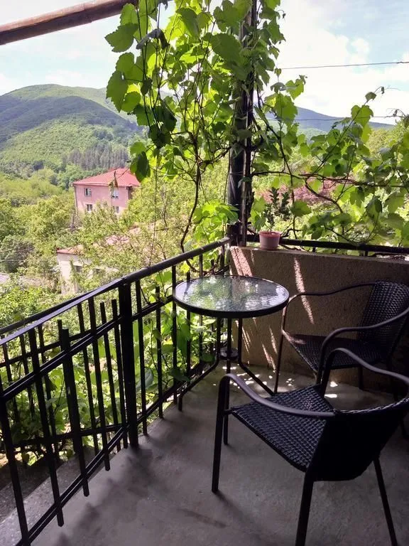 Cherqe Guest House — Photo 16