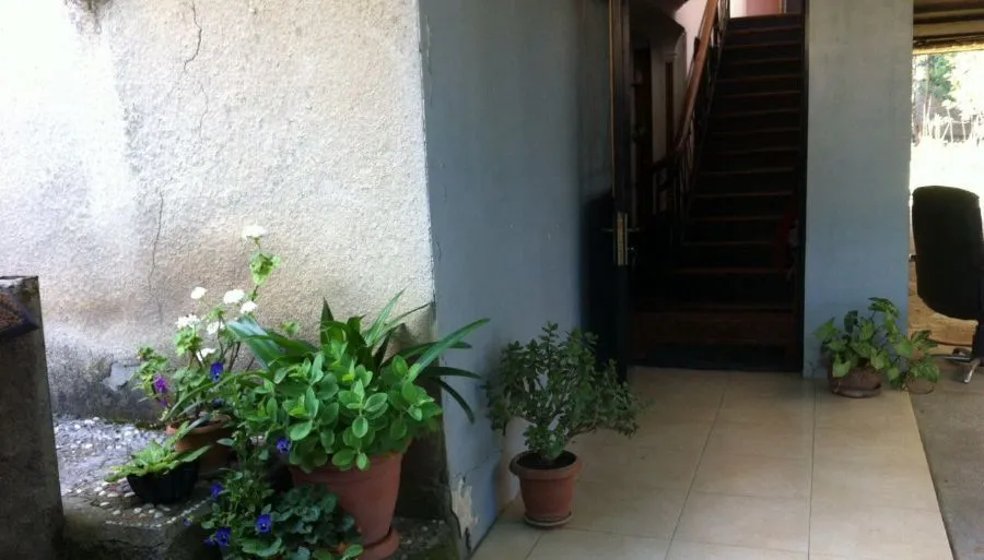 Telavi XXI — Photo 13