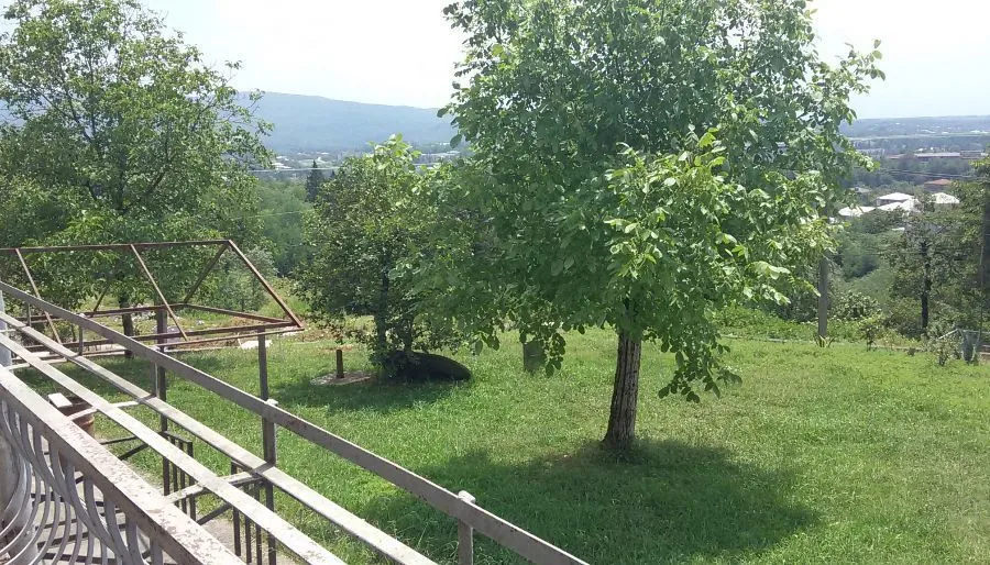 Nono — Photo 11
