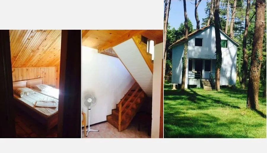 ყვავილნარი — ფოტო 17