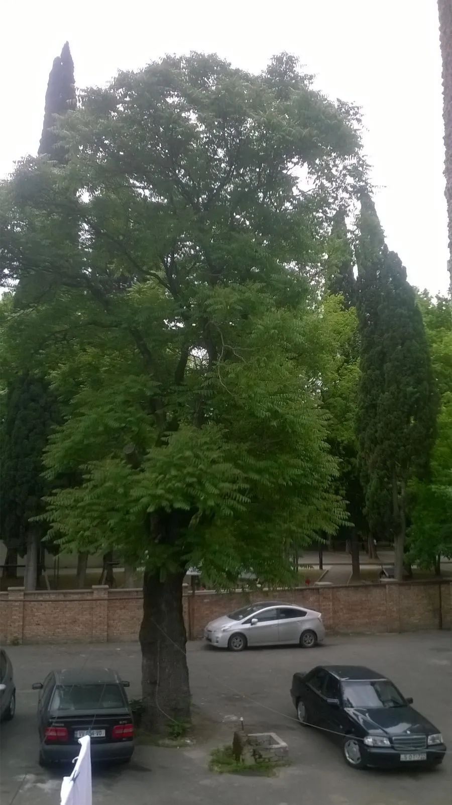 Thea's home — Photo 1