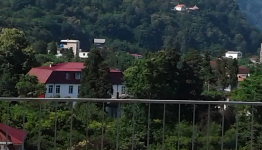 საოჯახო სასტუმრო კოლხი — ფოტო 24