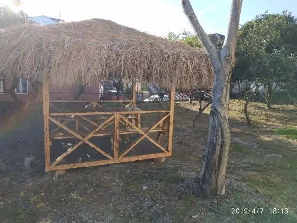 საოჯახო სასტუმრო კოლხი — ფოტო 4