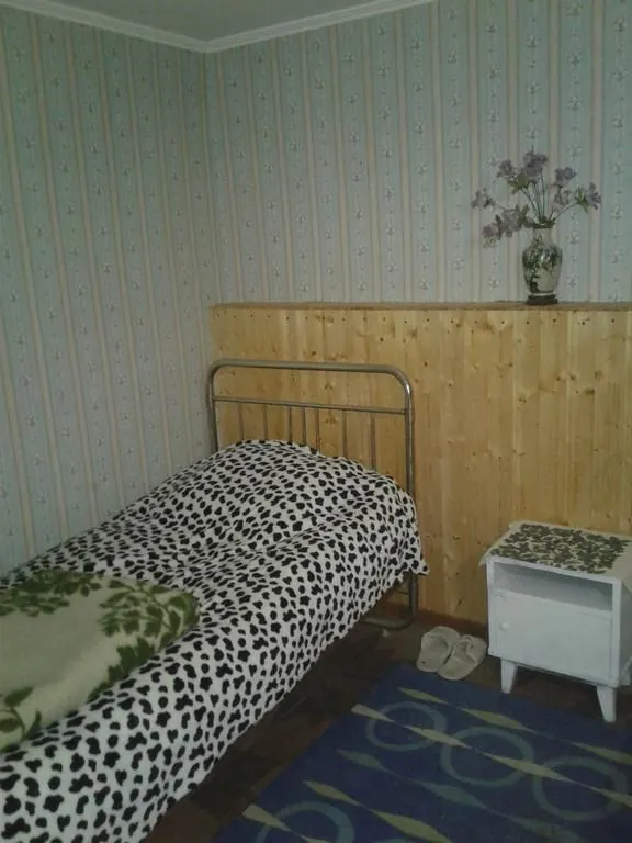 Guest house Sofya — Photo 31