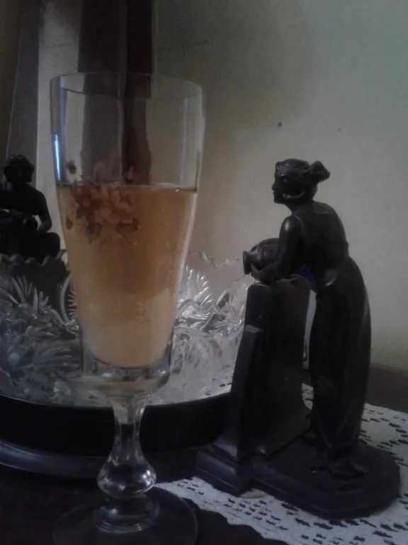 Guest house Sofya — Photo 21