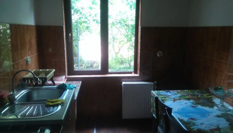 Old Green House — Photo 2