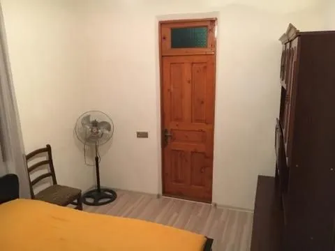 რაული — ფოტო 54