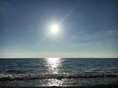 რაული — ფოტო 37